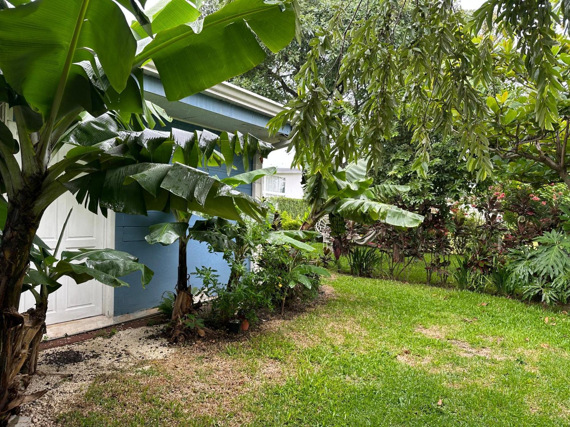 Casa Stella Apartment Heredia Ngoại thất bức ảnh